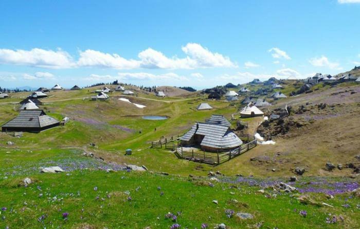 Koca Predilnica Velika Planina Villa Kamniska Bistrica Ngoại thất bức ảnh