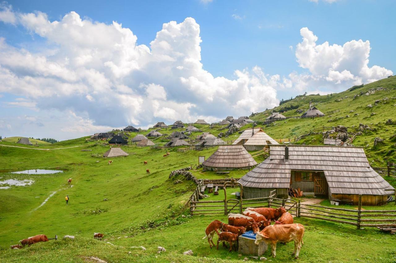 Koca Predilnica Velika Planina Villa Kamniska Bistrica Ngoại thất bức ảnh